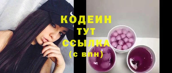 прущие грибы Арсеньев