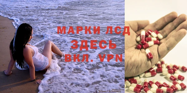 СК Аркадак
